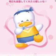 ヒメ日記 2026/04/14 08:15 投稿 けいこ ぽっちゃり巨乳美女専門川越ちゃんこ