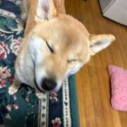 ヒメ日記 2025/01/16 16:30 投稿 那珂川　ちか OLセレクション宇都宮店