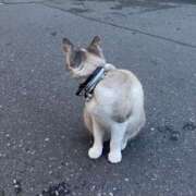 ヒメ日記 2025/06/07 17:56 投稿 AZUSA Salvador (サルバドール)