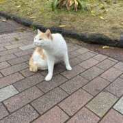 ヒメ日記 2025/08/01 18:36 投稿 AZUSA Salvador (サルバドール)