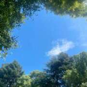 ヒメ日記 2025/08/17 15:06 投稿 AZUSA Salvador (サルバドール)