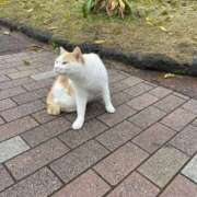 ヒメ日記 2025/08/01 18:35 投稿 花　あずさ 恋活エステ 出会い系サロン 花子と太郎ZERO