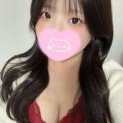 ヒメ日記 2025/04/07 00:01 投稿 むぎ PRISM(都城)