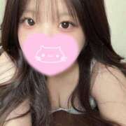 ヒメ日記 2025/05/17 10:34 投稿 むぎ PRISM(都城)