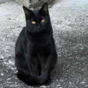 ヒメ日記 2025/02/21 23:35 投稿 つかさ 萌えコス