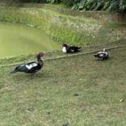 ヒメ日記 2025/05/06 20:07 投稿 つかさ 萌えコス