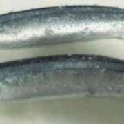 ヒメ日記 2025/09/06 17:25 投稿 つかさ 萌えコス