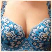 ヒメ日記 2025/02/12 09:44 投稿 くるみ 三毛猫