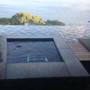 ヒメ日記 2025/02/13 08:51 投稿 くるみ 三毛猫