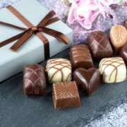 ヒメ日記 2025/02/14 08:05 投稿 くるみ 三毛猫