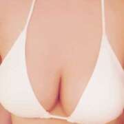 ヒメ日記 2025/02/16 15:26 投稿 くるみ 三毛猫