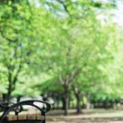 ヒメ日記 2025/02/17 14:37 投稿 くるみ 三毛猫