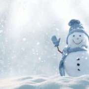 ヒメ日記 2025/03/04 14:12 投稿 くるみ 三毛猫