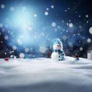 ヒメ日記 2025/03/19 10:07 投稿 くるみ 三毛猫