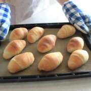 ヒメ日記 2025/03/24 10:19 投稿 くるみ 三毛猫