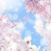 ヒメ日記 2025/04/01 10:17 投稿 くるみ 三毛猫