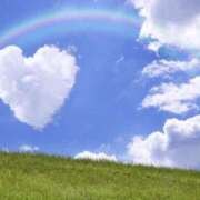 ヒメ日記 2025/04/02 07:45 投稿 くるみ 三毛猫