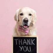 ヒメ日記 2025/04/03 10:06 投稿 くるみ 三毛猫