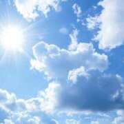 ヒメ日記 2025/04/04 09:58 投稿 くるみ 三毛猫