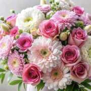 ヒメ日記 2025/04/05 09:35 投稿 くるみ 三毛猫