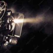 ヒメ日記 2025/04/11 09:30 投稿 くるみ 三毛猫