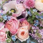 ヒメ日記 2025/04/17 09:07 投稿 くるみ 三毛猫