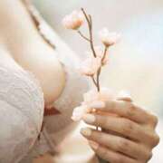 ヒメ日記 2025/04/18 09:40 投稿 くるみ 三毛猫