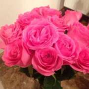 ヒメ日記 2025/04/26 07:31 投稿 くるみ 三毛猫