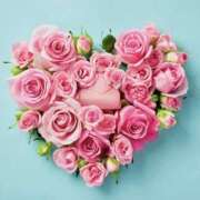 ヒメ日記 2025/04/30 06:58 投稿 くるみ 三毛猫