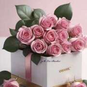 ヒメ日記 2025/05/02 07:49 投稿 くるみ 三毛猫