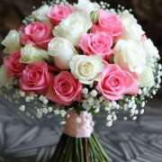 ヒメ日記 2025/05/05 08:05 投稿 くるみ 三毛猫