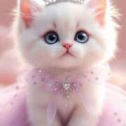 ヒメ日記 2025/05/09 07:20 投稿 くるみ 三毛猫