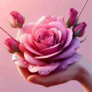 ヒメ日記 2025/05/21 08:12 投稿 くるみ 三毛猫