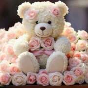 ヒメ日記 2025/05/24 07:32 投稿 くるみ 三毛猫