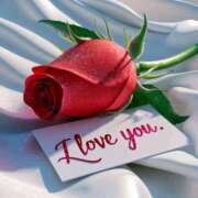 ヒメ日記 2025/06/11 07:45 投稿 くるみ 三毛猫