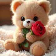 ヒメ日記 2025/06/16 06:35 投稿 くるみ 三毛猫