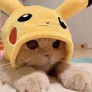 ヒメ日記 2025/06/25 09:33 投稿 くるみ 三毛猫