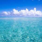 ヒメ日記 2025/07/02 07:51 投稿 くるみ 三毛猫