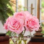 ヒメ日記 2025/07/09 06:52 投稿 くるみ 三毛猫