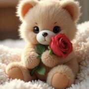 ヒメ日記 2025/07/17 08:32 投稿 くるみ 三毛猫