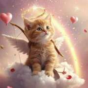 ヒメ日記 2025/07/20 07:58 投稿 くるみ 三毛猫