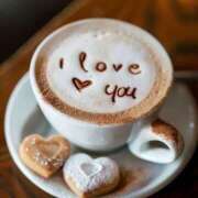 ヒメ日記 2025/08/04 12:04 投稿 くるみ 三毛猫