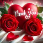 ヒメ日記 2025/08/10 08:05 投稿 くるみ 三毛猫