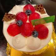 ヒメ日記 2025/08/15 08:35 投稿 くるみ 三毛猫