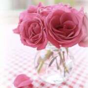 ヒメ日記 2025/08/16 07:50 投稿 くるみ 三毛猫