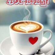 ヒメ日記 2025/08/21 07:58 投稿 くるみ 三毛猫