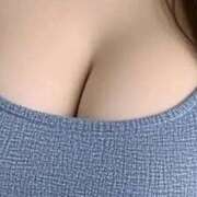 ヒメ日記 2025/08/26 07:58 投稿 くるみ 三毛猫