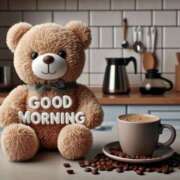 ヒメ日記 2025/08/29 08:07 投稿 くるみ 三毛猫