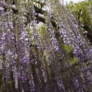 ヒメ日記 2025/05/02 22:08 投稿 れいか 品川ハイブリッドマッサージ