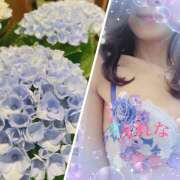 ヒメ日記 2025/04/24 09:58 投稿 藤崎えれな 極みのワイフ